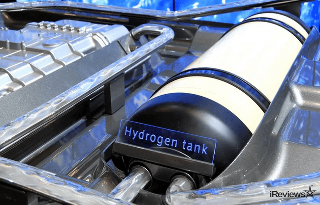 U.S. and Russian Scientists Make Hydrogen Fuel With Light and Fats