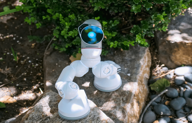 Introducing Cassie – Oregon State’s Walking Robot