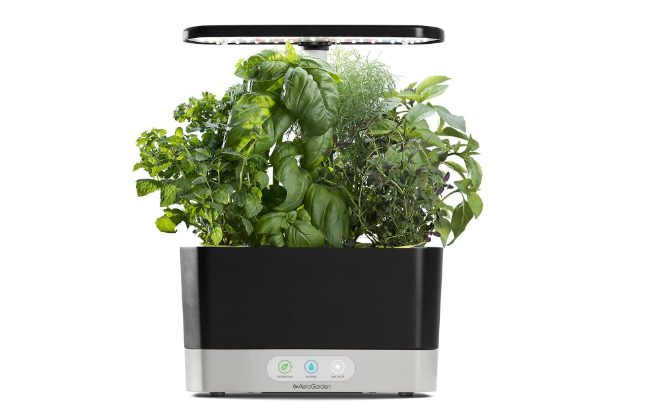 Aerogarden Review