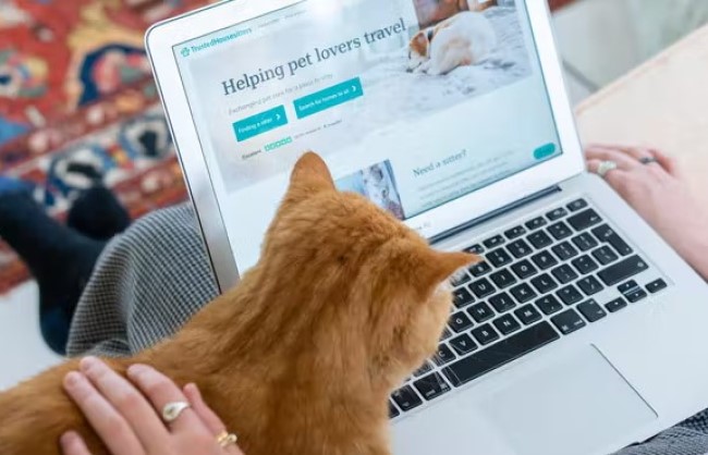 Trusted House Sitters Are They Legit IReviews